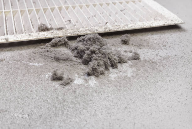 Best Professional Duct Cleaning Services  in Huguley, AL