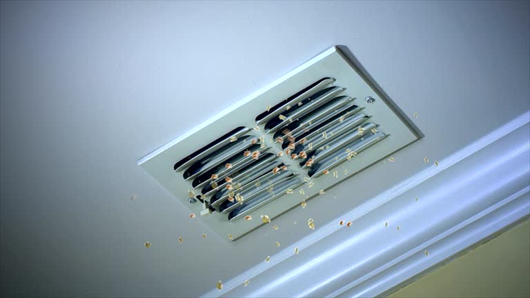 Best Affordable HVAC Duct Cleaning  in Huguley, AL